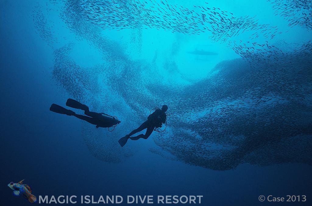 Magic Island Dive Resort Moalboal Exterior foto